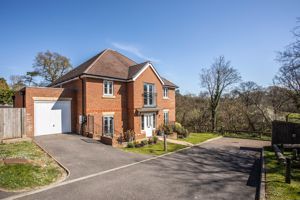 Photo 24- click for photo gallery